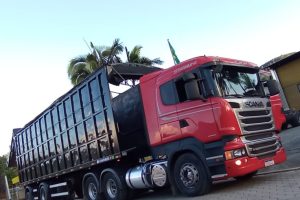 WhatsApp Image 2024-02-05 at 09.09.28