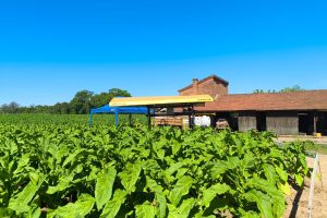 WhatsApp Image 2025-10-22 at 09.54.00