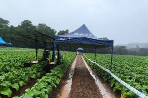 WhatsApp Image 2025-10-28 at 13.42.18