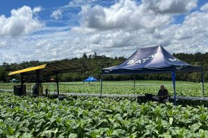 WhatsApp Image 2025-10-29 at 12.40.58