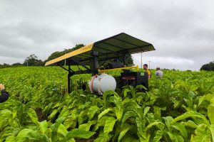 WhatsApp Image 2025-10-31 at 12.45.35 (1)