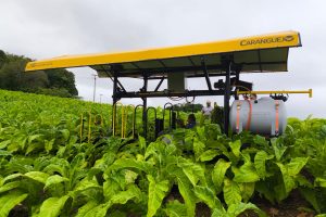 WhatsApp Image 2025-10-31 at 12.45.35