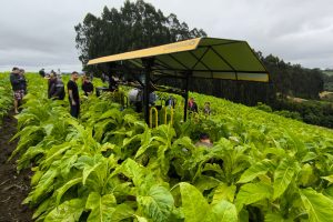 WhatsApp Image 2025-10-31 at 12.47.40 (1)