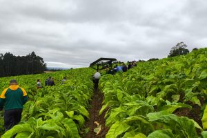 WhatsApp Image 2025-10-31 at 12.47.44