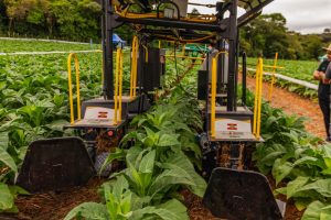 WhatsApp Image 2025-11-05 at 12.24.12 (1)