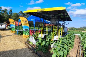 WhatsApp Image 2025-11-26 at 09.39.43