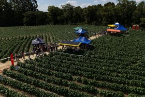 WhatsApp Image 2025-12-01 at 09.21.58